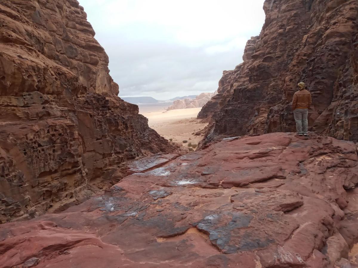 Rum Moon Luxury Camp Wadi Rum Exteriér fotografie